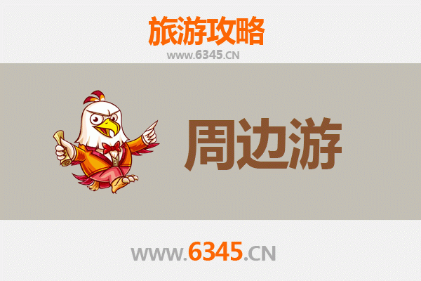 万宁大茂镇周边游攻略：探秘海南东线隐藏的田园风光与地道美食
